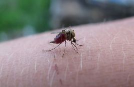 Nova studija pokazuje: Evo zašto su neki ljudi 