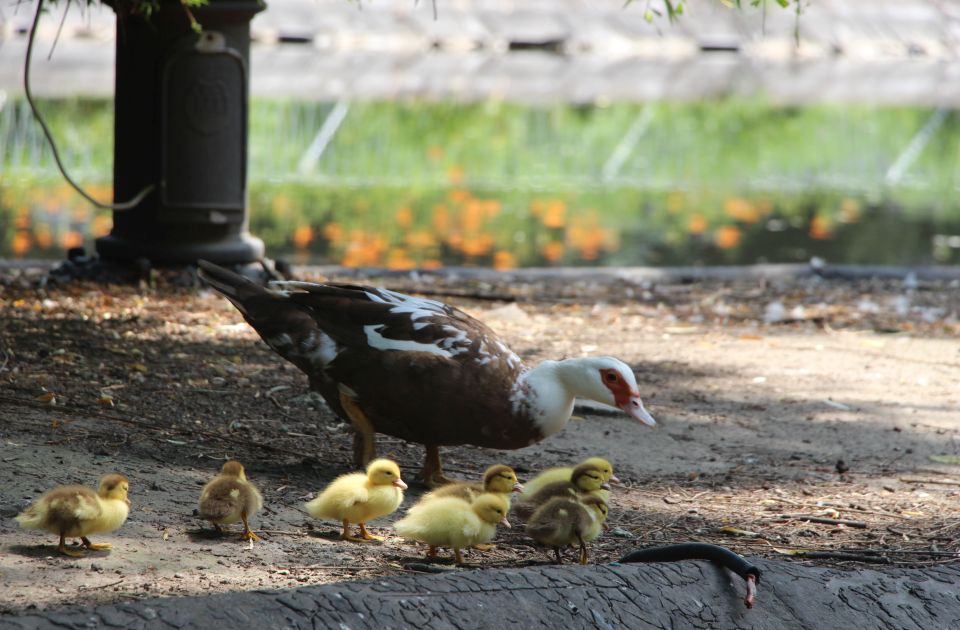 Sutra u Novom Sadu sunčano i toplo, u subotu bez oblačka