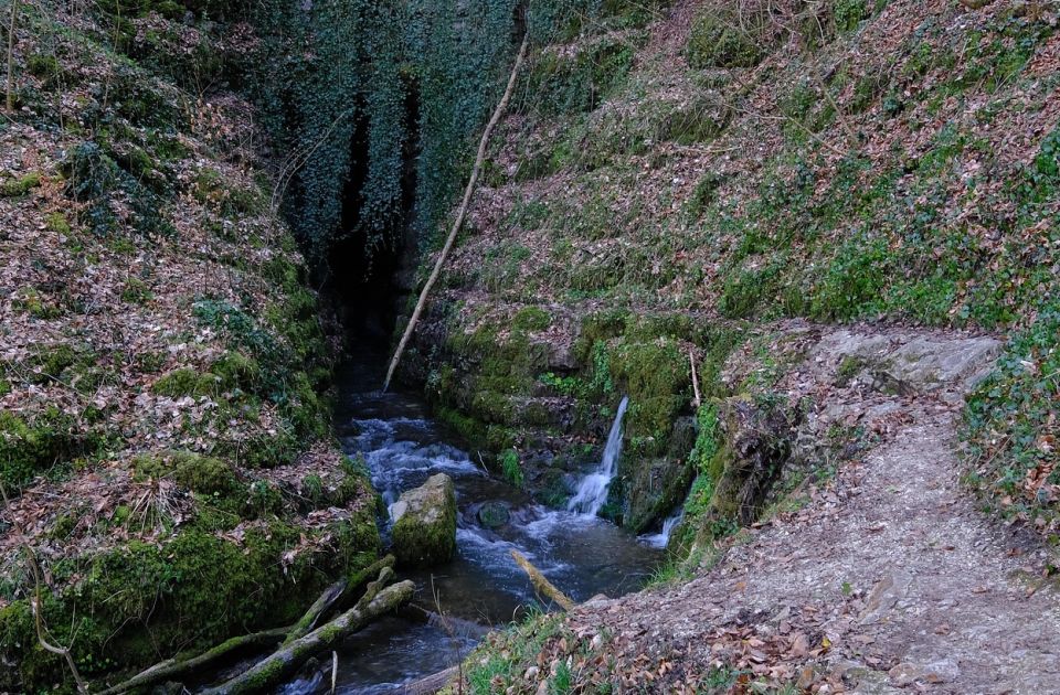 Aboridžini krive Rio Tinto zbog presušivanja izvora koji smatraju svetim
