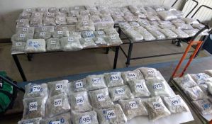 FOTO: Zaplenjeno 100 kilograma marihuane na Horgošu