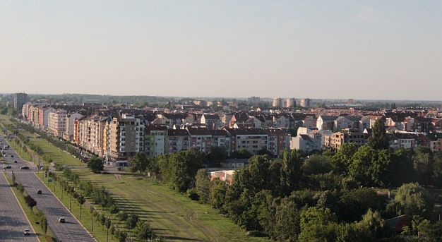 FOTO: Detelinara - stara dama grubog srca 