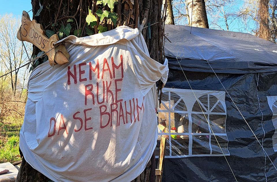 Krivična prijava zbog seče na Šodrošu, čeka se Tužilaštvo