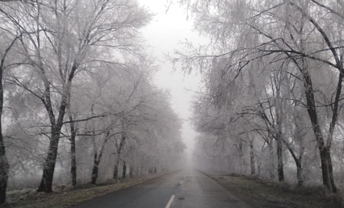 Zabranjeno za teretnjake preko Iriškog venca