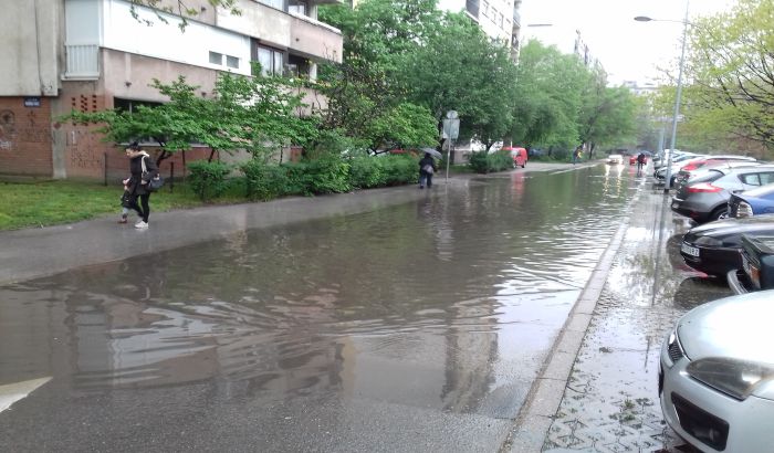 FOTO: Deo Limana 2 plivao zbog zapušenih slivnika