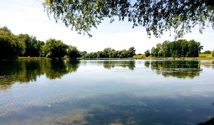 Sutra sunčano i vetrovito Sutra sunčano i vetrovito