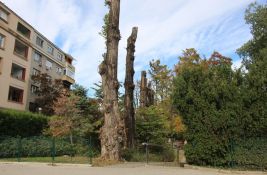 FOTO: Ulazak u Dunavski park izgleda tužno - evo o čemu je reč