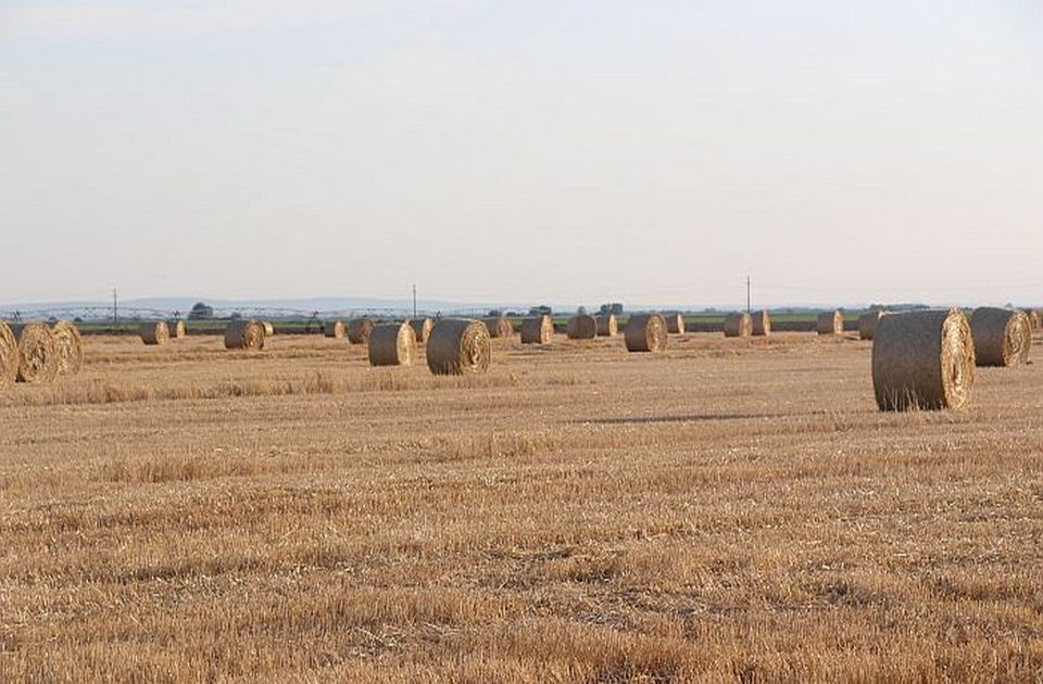 Država prodaje 50 hektara građevinskog zemljišta na teritoriji opštine Šid