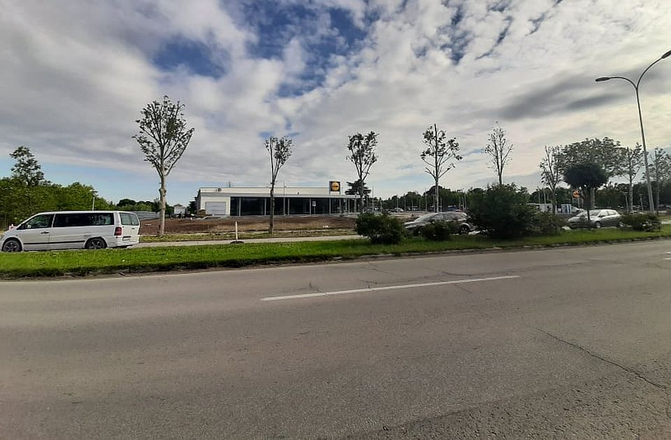 Grad o seči kod Lidla: Na parkingu će biti 39 sadnica, nova stabla u kružnoj raskrsnici