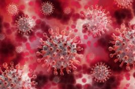 SZO traži najbolje naučnike za istraživanje virusa