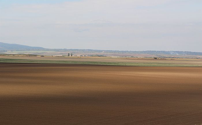Najskuplje poljoprivredno zemljište u Južnobačkom okrugu