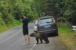 VIDEO: Mali medved prišao na centimetar od mladića u Rumuniji, a da on nije ni primetio