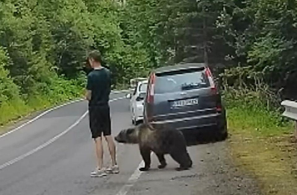 VIDEO: Mali medved prišao na centimetar od mladića u Rumuniji, a da on nije ni primetio