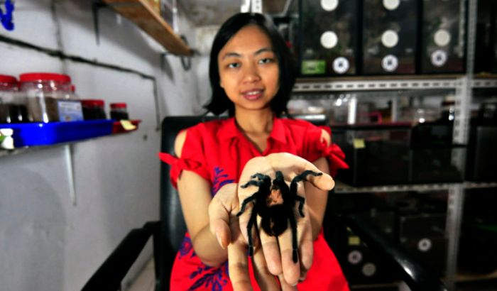 VIDEO: Živi sa 1.500 tarantula