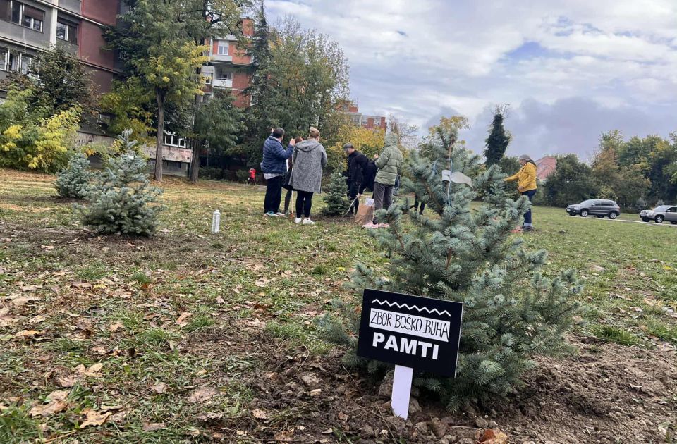 FOTO: Limanci zasadili 16 borića na mestu kod Štranda gde se planira crkva FOTO: Limanci zasadili 16 borića na mestu kod Štranda gde se planira crkva