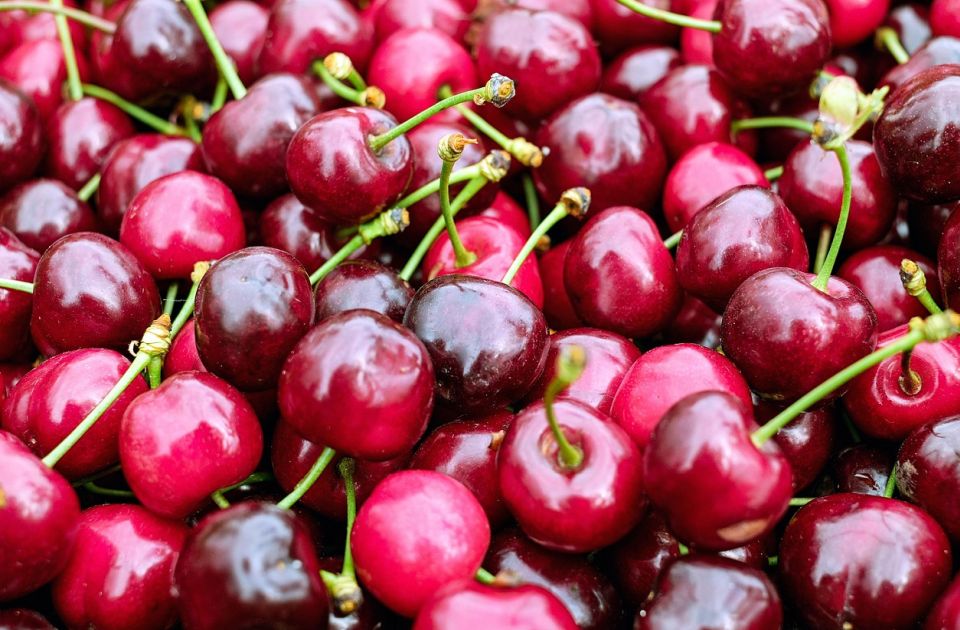 Trešnje na pijacama i 1.500 dinara: Zašto su tako skupe?