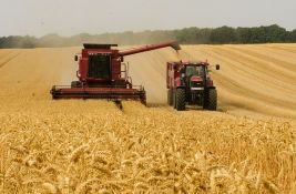 Svetska kriza žitarica: Srbija stabilna sa pšenicom, ali mora da se upodobi međunarodnom tržištu