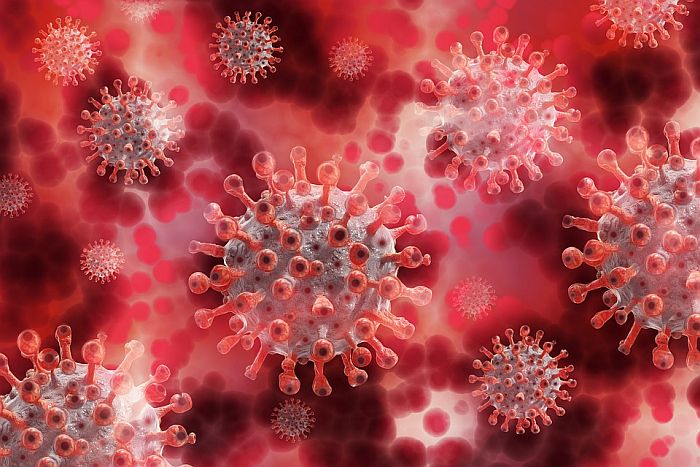 U Češkoj otkriven prvi slučaj južnoafričkog soja virusa