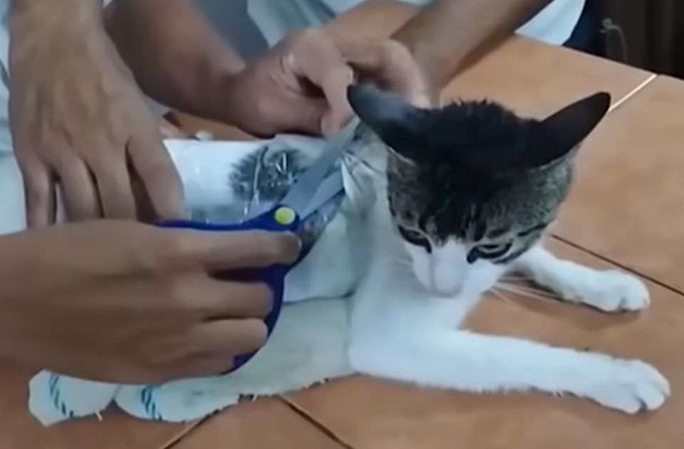 VIDEO: "Narkomačka" uhvaćena u zatvoru u Kostariki, na sebi imala paketiće s drogom