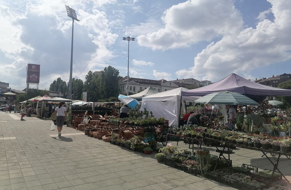 Šesta prolećna Novosadska pijaca u petak i subotu kod Spensa, biće akcija zamene papira za sadnice