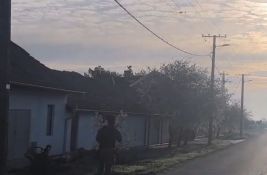 VIDEO Policija i vojska na terenu kod Kanjiže: 