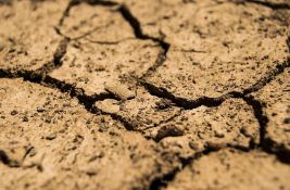 FAO: Katastrofe izazvale gubitak od 3.800 milijardi dolara u poljoprivredi u poslednjih 30 godina