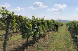 Plan za Alibegovac pred odbornicima: Buduća turistička vinska destinacija, ali i stambena zona