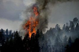 Ogroman požar na jugu Španije, oko 2.000 evakuisanih, uništeni hektari šume