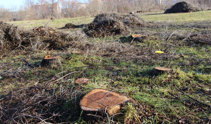 FOTO, VIDEO: Građane uznemirila seča drveća uz gradilište novog parka između Detelinare i Novog naselja