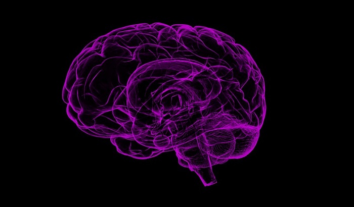 Zašto je ljudski mozak toliko velik?
