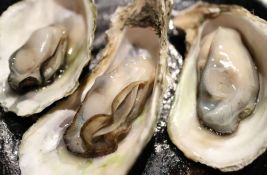 U Napulju za samo jedan dan potvrđena 84 slučaja hepatitisa A, a krive su - dagnje