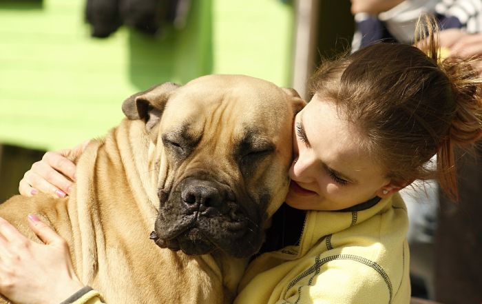 Naučnici: Veza između čoveka i psa moguća terapija protiv šizofrenije
