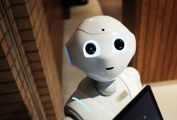 Novi Sad dobija Centar za veštačku inteligenciju, obučavaće kadar za buduću fabriku robota