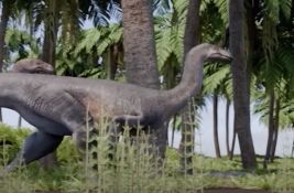 VIDEO: Jedan od najstarijih dinosaurusa pronađen u Argentini