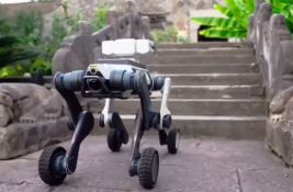 VIDEO Pas robot patrolira kineskim gradom: Treba da otkrije nezakonito parkiranje i blokade puteva