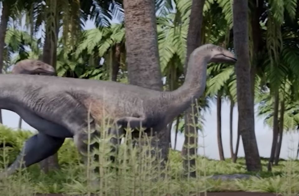 VIDEO: Jedan od najstarijih dinosaurusa pronađen u Argentini VIDEO: Jedan od najstarijih dinosaurusa pronađen u Argentini