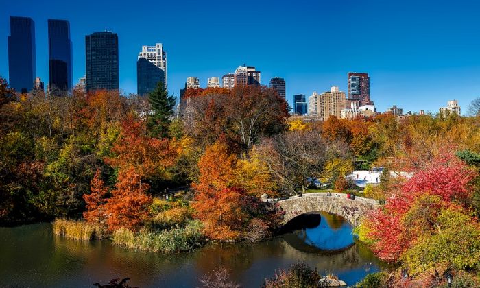 Od juna automobilima zabranjen ulazak u Central park