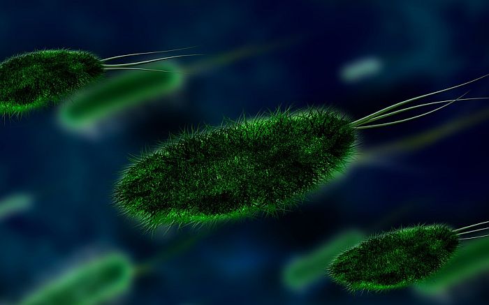 Naučnici: Svakog čoveka okružuje oblak bakterija, virusa i gljivica