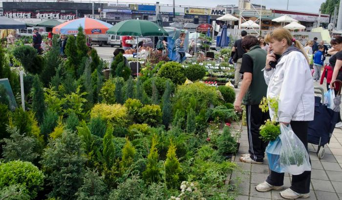 Treća jesenja Cvetna pijaca u petak i subotu kod Spensa