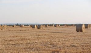 Bačka Topola: Prihodi od izdavanja poljoprivrednog zemljišta 55 miliona dinara 