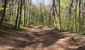 Jednodnevna planinarska akcija na Fruškoj gori u subotu