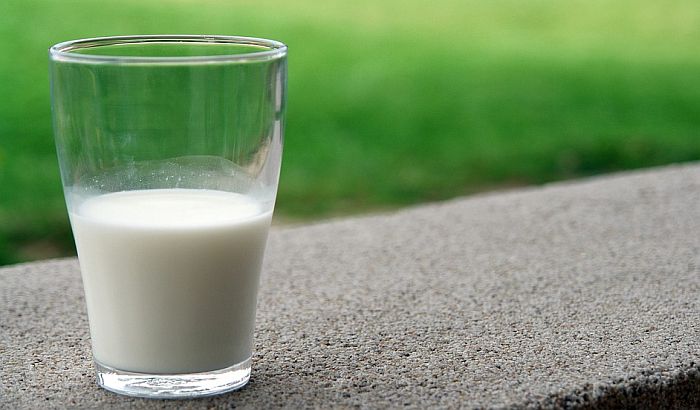 Kvalitet mleka će od sledeće godine kontrolisati nacionalna laboratorija