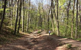 Fruškom gorom se ponosimo, ali je i uništavamo