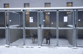Azil u Krakovu hitno apelovalo da građani udome pse makar dok je ledeno: Reakcija ljudi oduševila