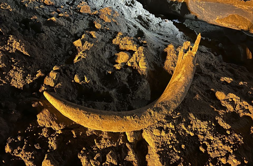 FOTO: Kljova mamuta stara bar 10.000 godina pronađena u rudniku u Severnoj Dakoti