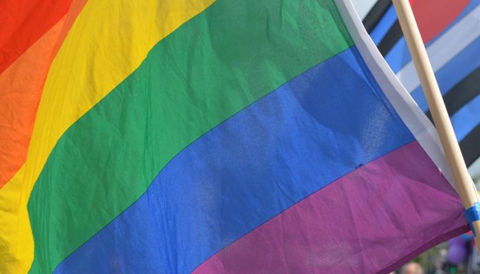 Ukrao i spalio LGBT zastavu ispred striptiz-bara, osuđen na 15 godina zatvora