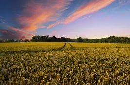 AgroLife i meteo stanice pružile 620.500 preporuka za radove na njivama