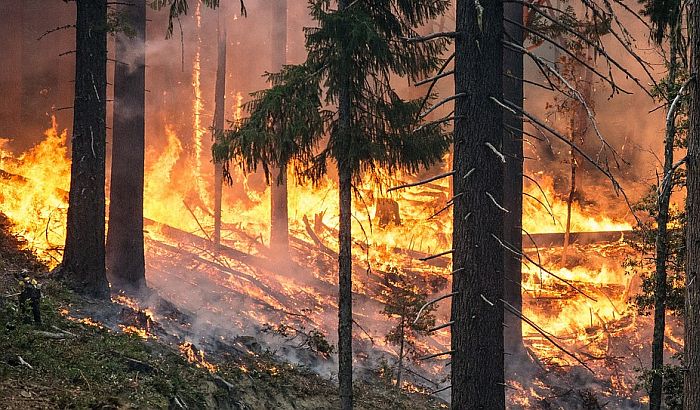 U Visokim Tatrama 1.200 turista evakuisano zbog šumskog požara