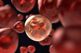 Milioni ćelija majke opstaju u detetu - naučnici sada znaju kako