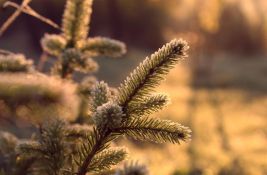 Sutra malo vedrije u Novom Sadu, ali i dalje veoma hladno, a u petak -11 i ledena kiša