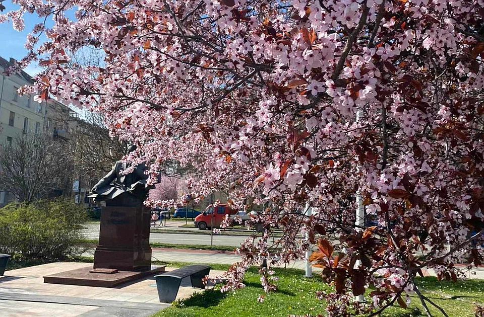 Sunčan petak pred Novosađanima: Šta vas očekuje u novom danu?